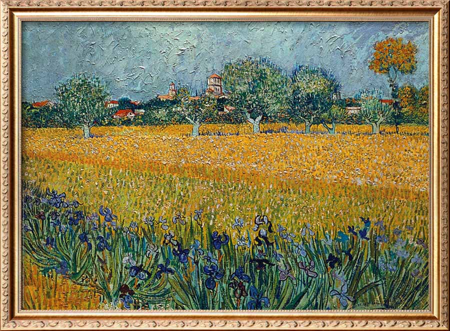 Field Of Flowers Near Arles By Vincent Van Gogh